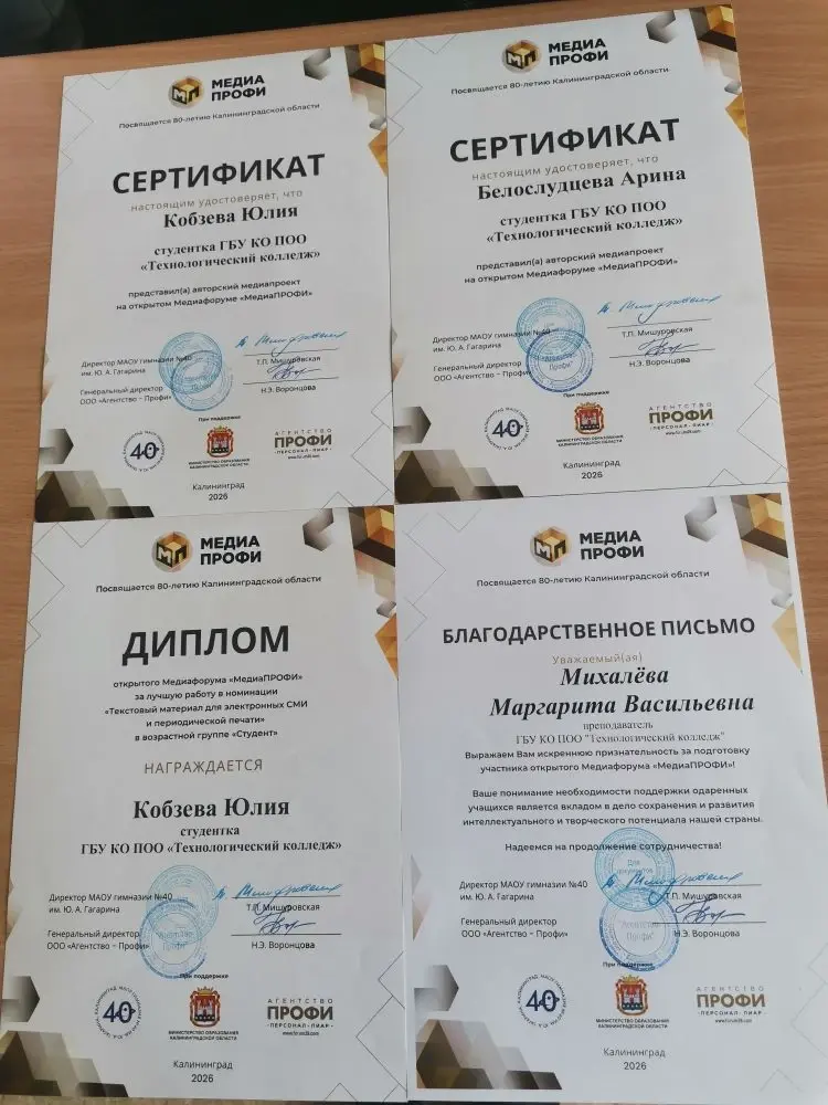 Грандиозное событие на творческой ниве весны 2026 года: Медиа –   ПРОФИ!