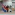 image_1