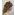 image_1