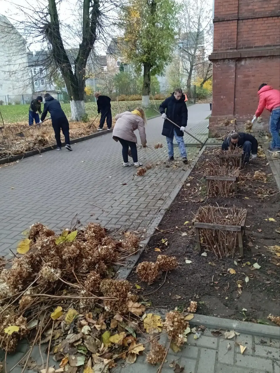 Сегодня студенты групп отделения Сервиса провели субботник